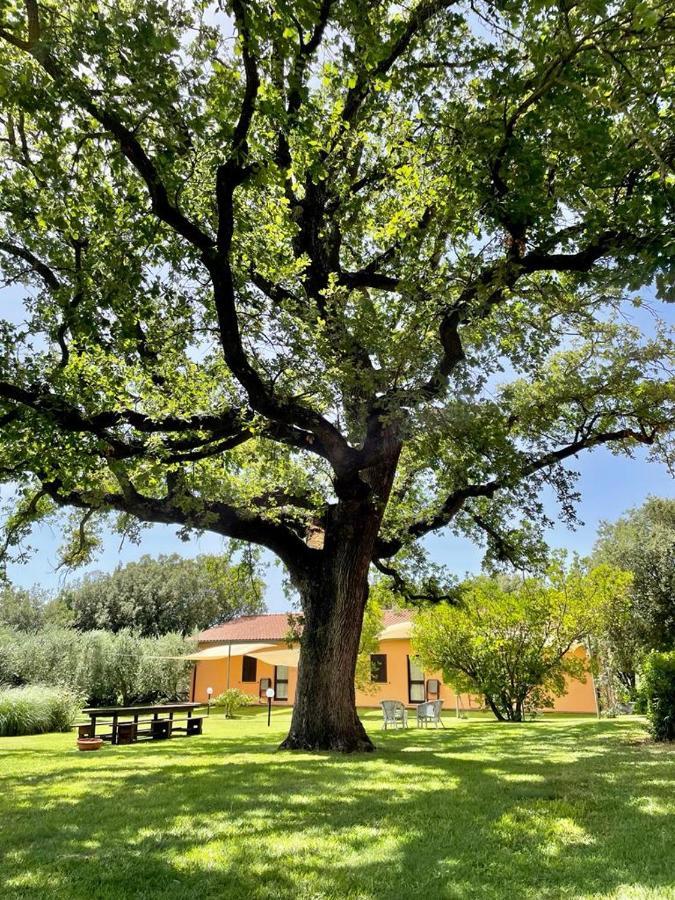 Agriturismo I Tre Fossi Magliano in Toscana Exterior foto