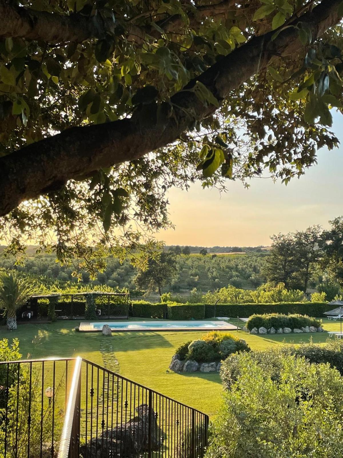 Agriturismo I Tre Fossi Magliano in Toscana Exterior foto